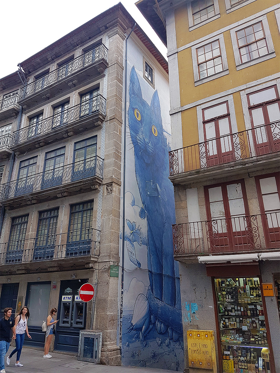 Kat graffiti in Porto van Liqen