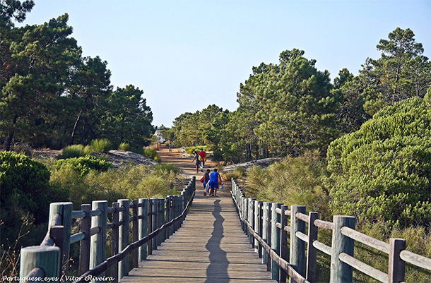 Dennenbos Monte Gordo