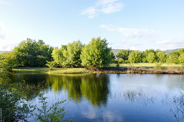 Kleinschalige yogavakanties in de natuur