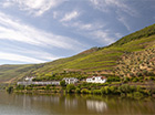 Wijnquinta in de Douro-vallei